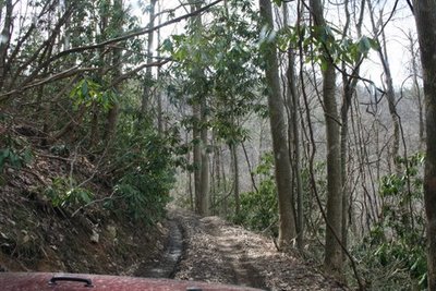 IMG_0043.JPG