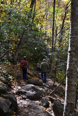 pisgahfall2012 1021.jpg