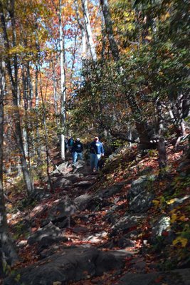 pisgahfall2012 1081.jpg