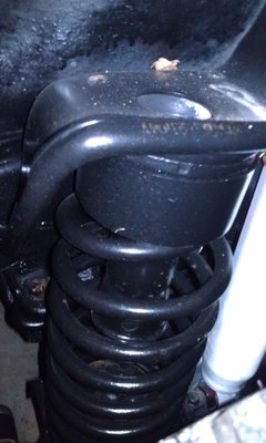 IMAG0469.jpg