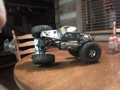 losi2.jpg