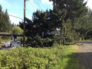 Truck_in_a_Tree_3.jpg