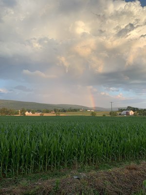 1E3F99FD-F000-4FA2-BB17-D478B73F5490.jpeg