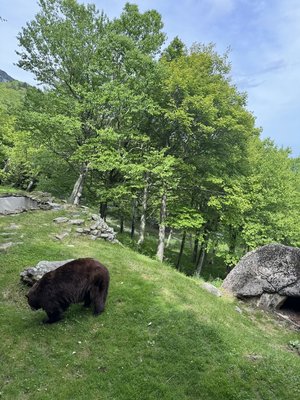 IMG_4242.jpeg