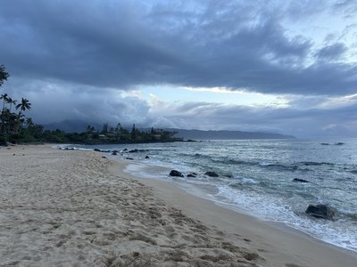 IMG_4771.jpeg