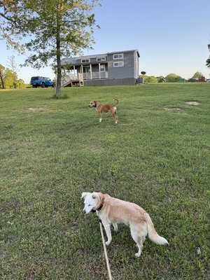 IMG_5680.jpeg