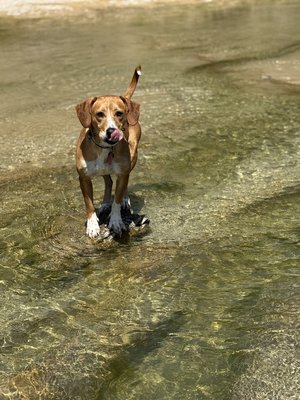 IMG_5697.jpeg