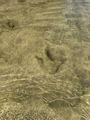 IMG_5773.jpeg