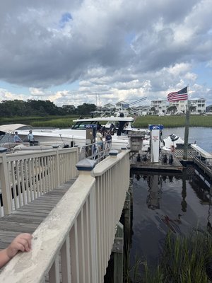 IMG_5295.jpeg