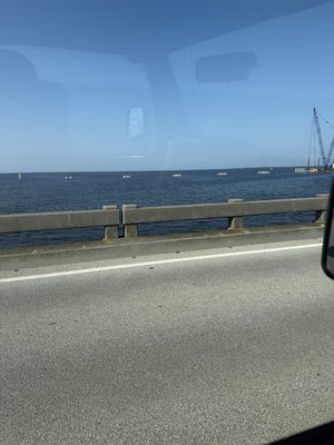 IMG_5298.jpeg