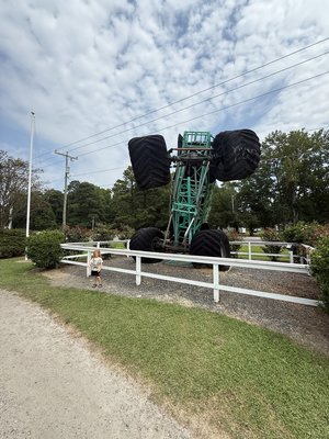 IMG_5317.jpeg