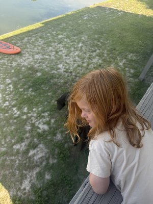 IMG_5311.jpeg