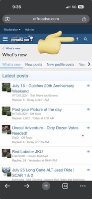 IMG_8253.jpeg