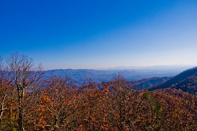 6319459307_40d738a5d4.jpg